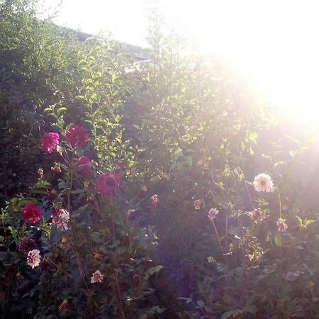 Friendly B&B Gümrü Dış mekan fotoğraf