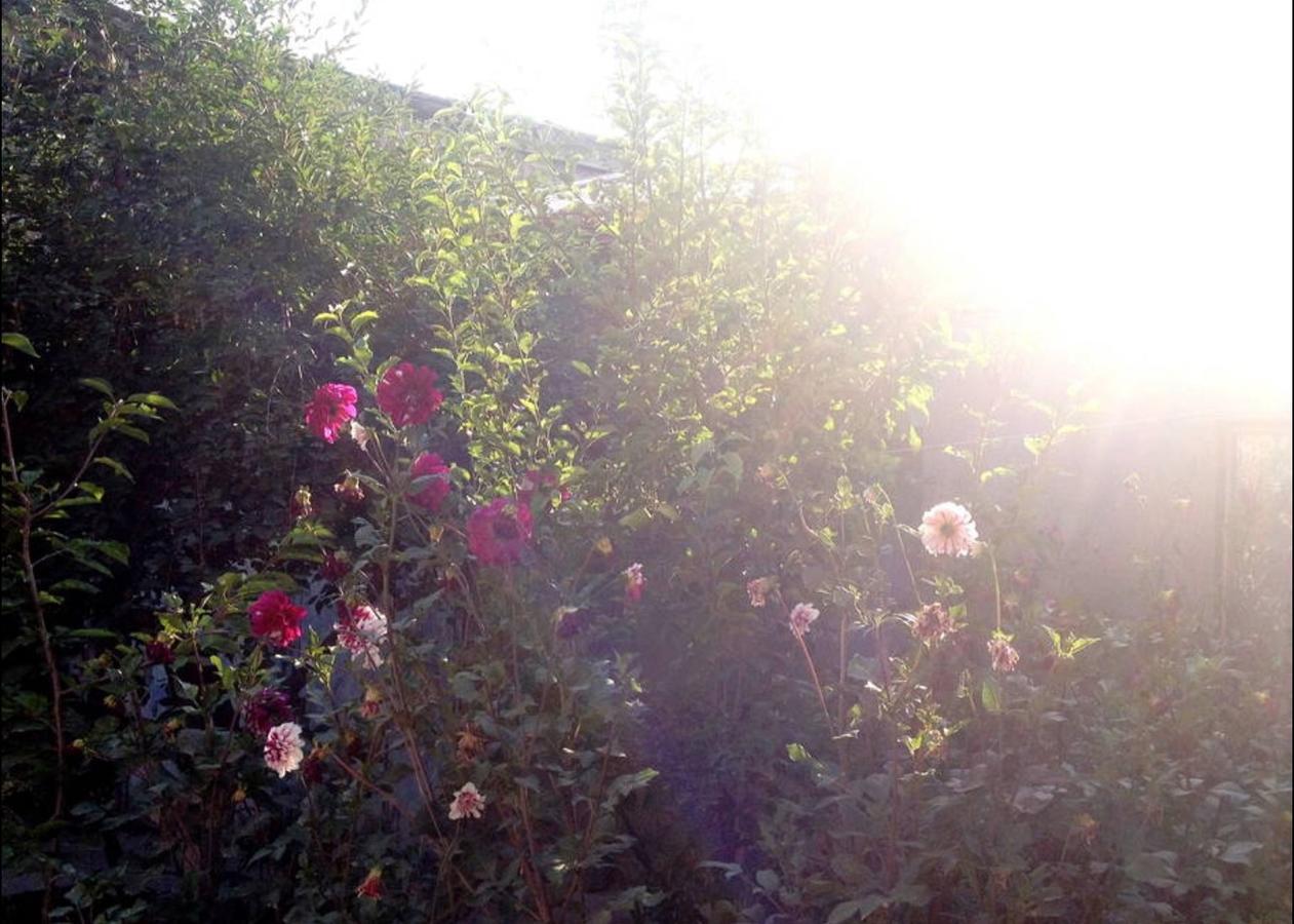Friendly B&B Gümrü Dış mekan fotoğraf